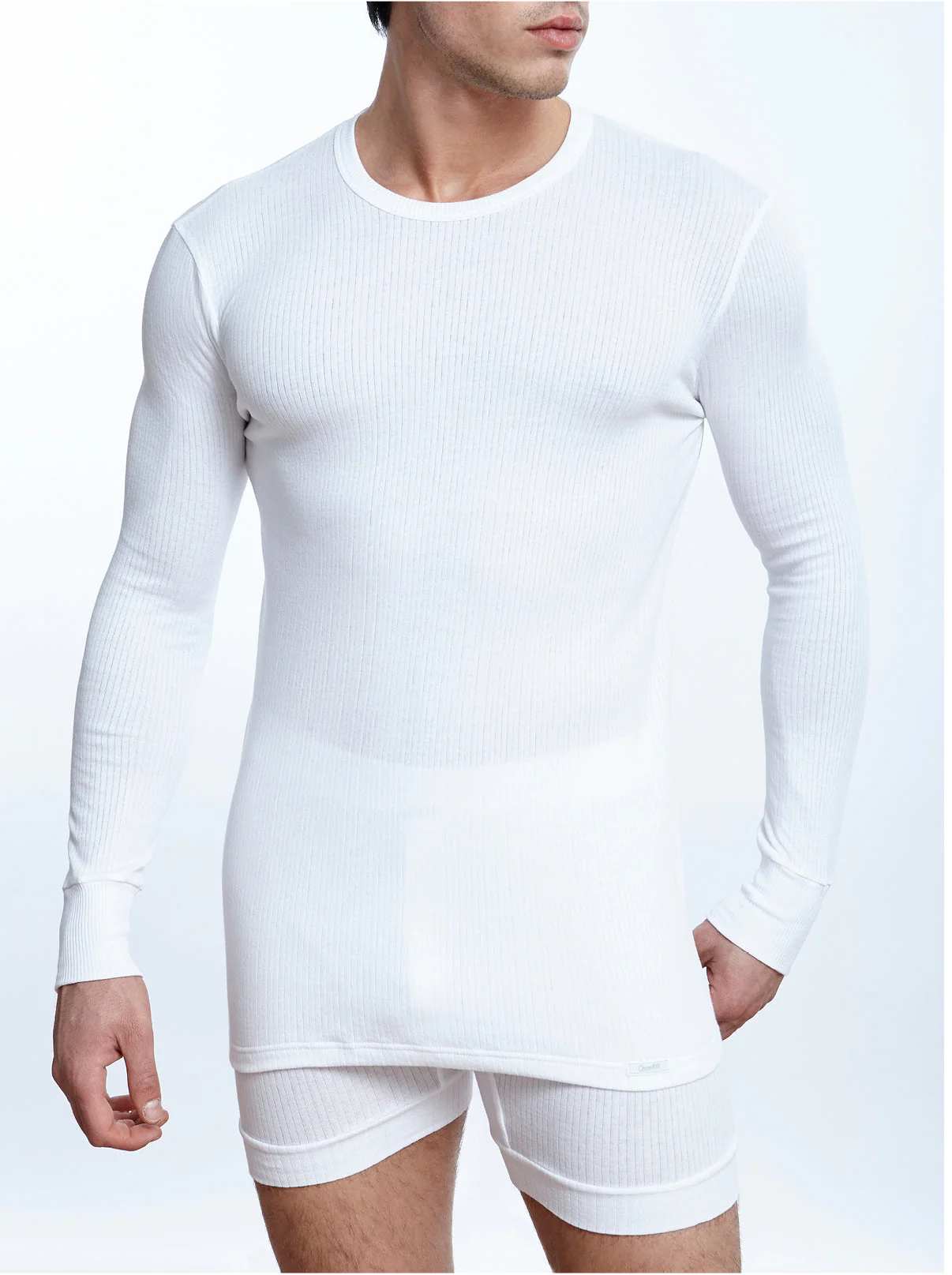 Crew neck long shirt in Termotex® 5556